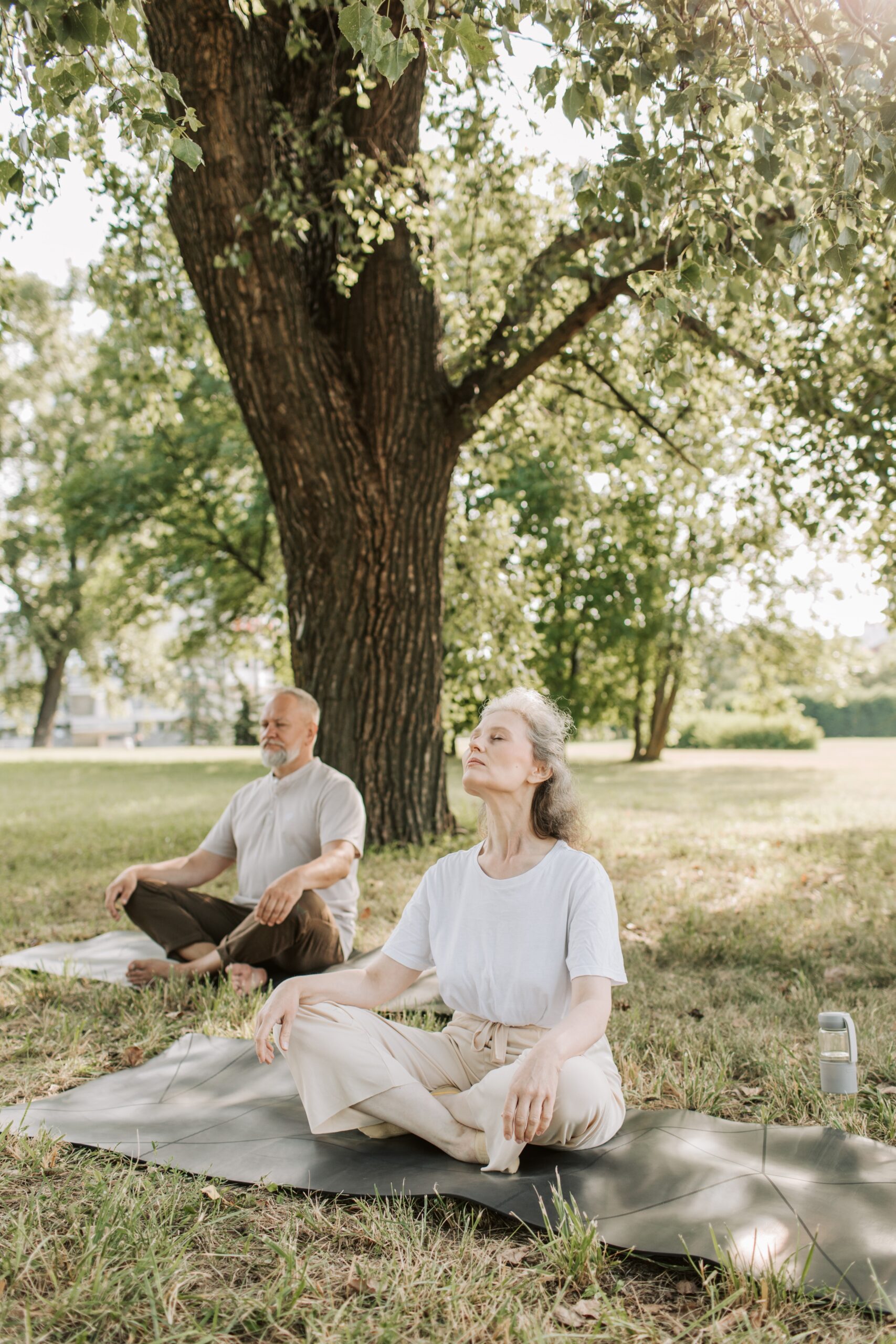 The Benefits of Meditation for Mental and Physical Health